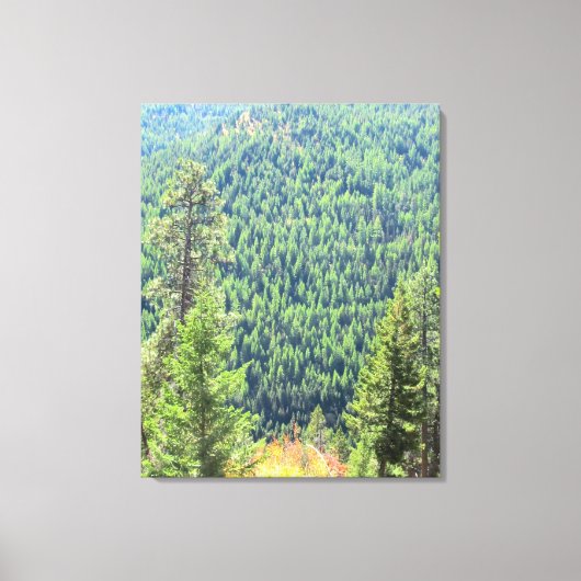 La Toile Enveloppée De La Forêt (Recto)