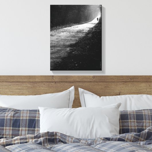 La toile enveloppée Trail (Insitu(Chambre))