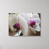 LA toile ORCHID BLANCHE (Recto)