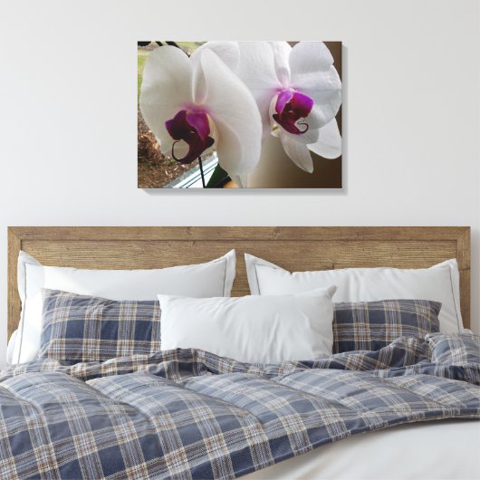 LA toile ORCHID BLANCHE (Insitu(Chambre))