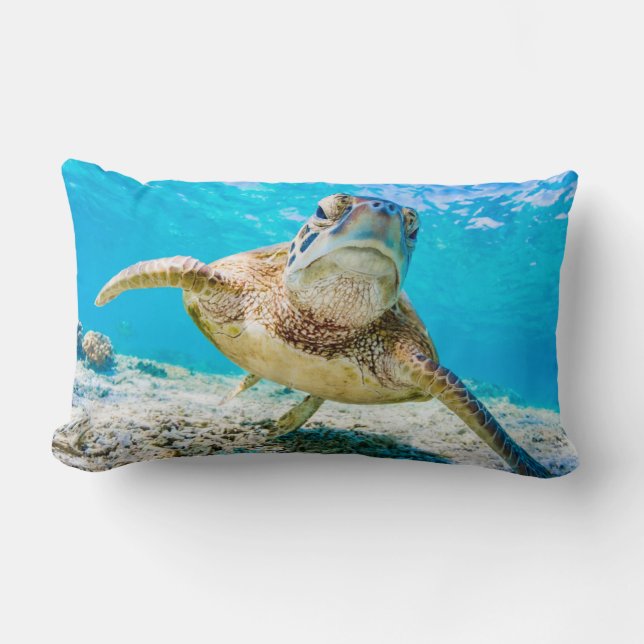La tortue de mer bleu face à la lumbar coussin (Recto)