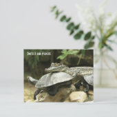 La tortue et la carte postale de crocodile (Debout devant)