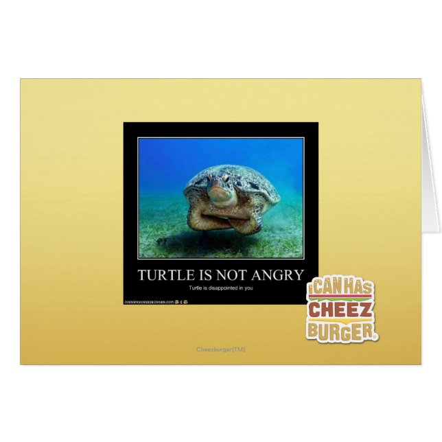 La tortue n'est pas en colère (Devant horizontal)