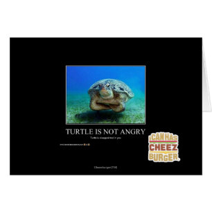 La tortue n'est pas fâchée