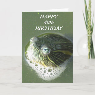La tortue observe des cartes d'anniversaire