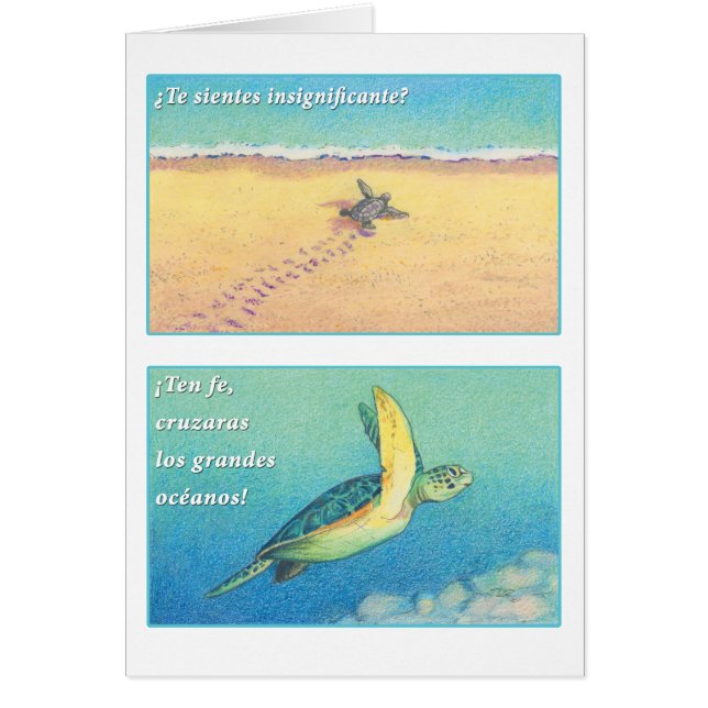 La Tortuga de Mar, tarjeta (Voorkant)