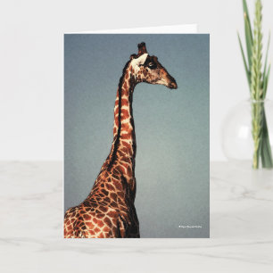 La triste girafe - Carte de voeux numérique à l'aq
