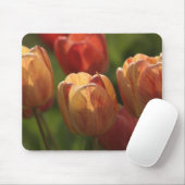 La tulipe fleurit tapis de souris (Avec souris)