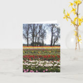 La tulipe met en place la carte de voeux (Fleur jaune)