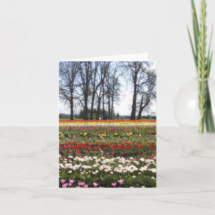 La tulipe met en place la carte de voeux