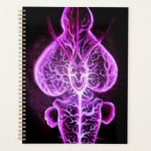 La vascularisation du système nerveux en roden (Devant)