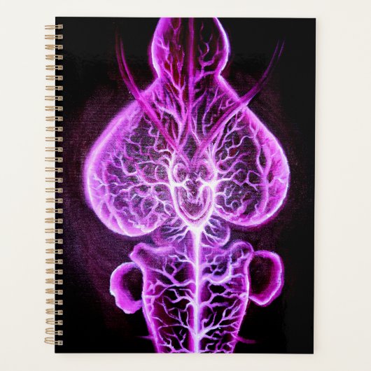 La vascularisation du système nerveux en roden (Devant)