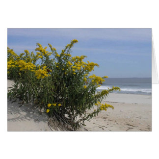 La verge d'or au bord de la mer