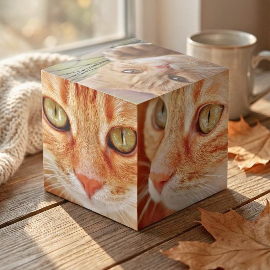 La Vibe de votre animal de compagnie : Cube photo