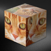 La Vibe de votre animal de compagnie : Cube photo 