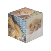 La Vibe de votre animal de compagnie : Cube photo  (Angle devant)