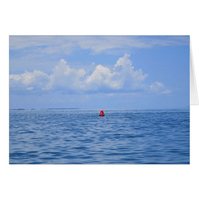 La vie de bouée II (Devant horizontal)