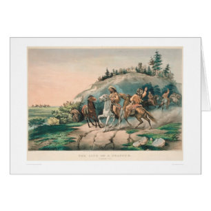 La vie d'un trappeur : Une halte soudaine (0877A)