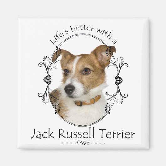 La vie est meilleur Jack Russell Magnet (Devant)