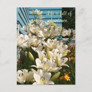 La vie est pleine d'abondance, Cartes postales Day