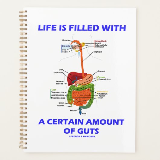 La Vie Est Remplie D'Une Certaine Quantité De Tach (Devant)