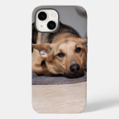 La vie est Ruff Iphone 14 Coque (Verso)