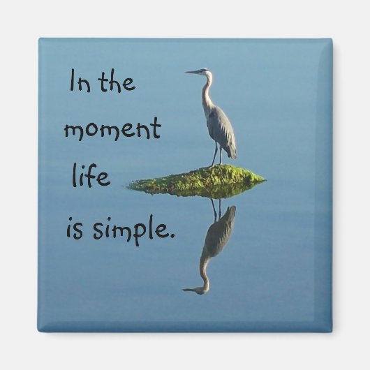 La vie est un simple aimant (Devant)