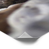 La vie est une affiche (Coin)