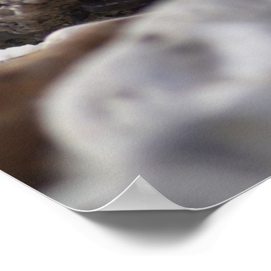 La vie est une affiche (Coin)