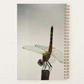 La vie est une citation Solde Dragonfly (Dos)