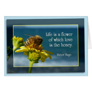 La vie est une fleur