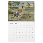 La vie sur le calendrier 2016 de faune de (Jan 2027)