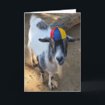 La vieille chèvre amusante est toujours une carte<br><div class="desc">Vielle chèvre avec un long "Goat-Tee" (chèvre),  portant une hélice casquette beanie. Même s'il est une vieille chèvre,  il est encore un enfant. C'est drôle pour ceux qui sont vieux mais n'ont jamais grandi. Nous savons qui vous êtes ! :)</div>