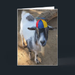 La vieille chèvre amusante est toujours une carte<br><div class="desc">Vielle chèvre avec un long "Goat-Tee" (chèvre),  portant une hélice casquette beanie. Même s'il est une vieille chèvre,  il est encore un enfant. C'est drôle pour ceux qui sont vieux mais n'ont jamais grandi. Nous savons qui vous êtes ! :)</div>