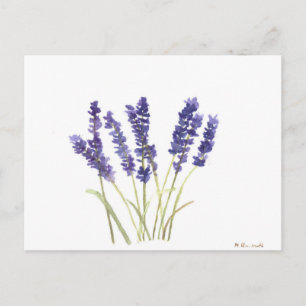 Laadbloemen lavendel briefkaart
