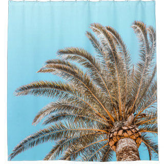 Laaghoekfotografie van een groene palmboom onder e douchegordijn