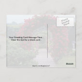 Laagklimkernen voor Rozen Briefkaart (Achterkant)