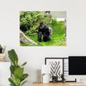 Laagland zijdewerk mannetjesgorilla die loopt poster (Thuiskantoor)