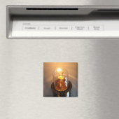 Laagspanningslamp Magneet (Insitu (Vaatwasser))