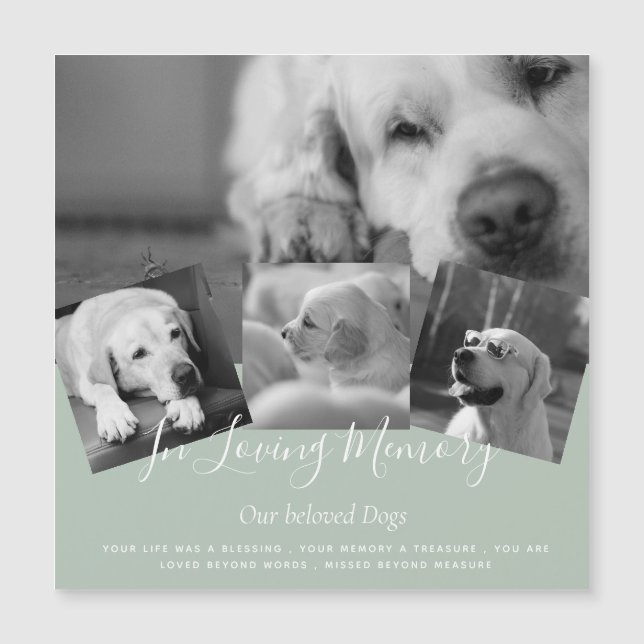 Laagste Prijzen! 35 FOTO's Collage Aangepaste teks (Voorkant)