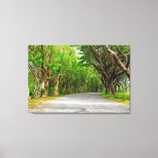 Laan met bomen landschap reis fotografie canvas afdruk