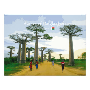Laan van de Baobabs, Madagaskar - Landschap Foto Afdruk