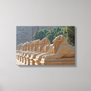 Laan van Sfinxen in Karnaktempel - Egypte Canvas Afdruk