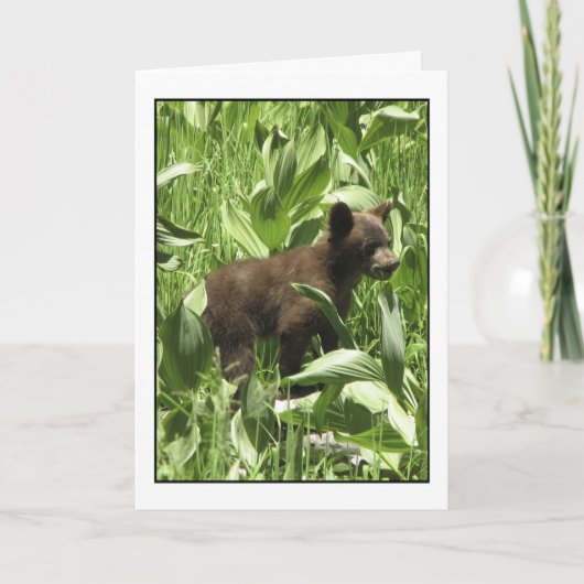 Laat Beren Beren Kaart zijn (Voorkant)