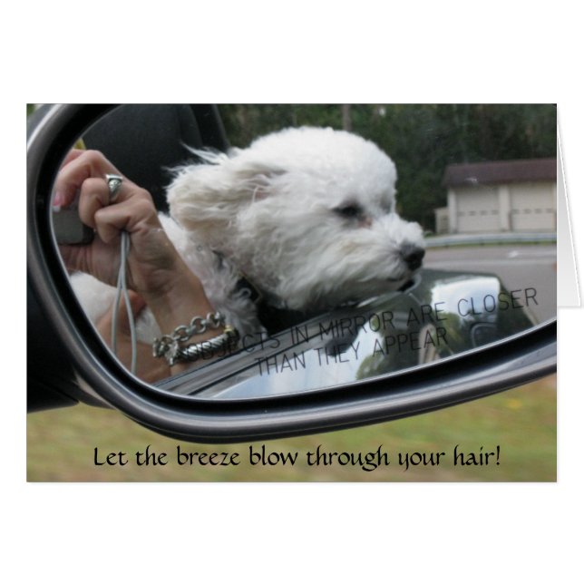 "Laat de bries door je haar stromen" (Voorkant Horizontaal)