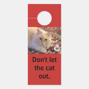 Laat de kat niet uit.