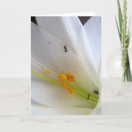 Laat de kleine dingen niet bij je komen... feestdagen kaart