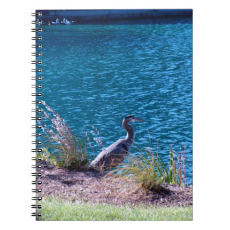 Laat de kleuren uw gids zijn notitieboek