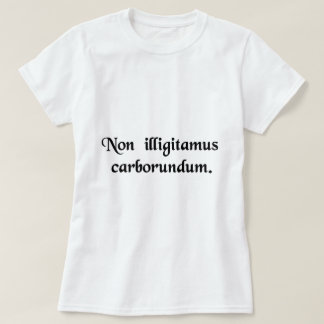 Laat de klootzakken je niet misleiden. t-shirt
