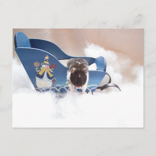 Laat de sled los! briefkaart (Voorkant)